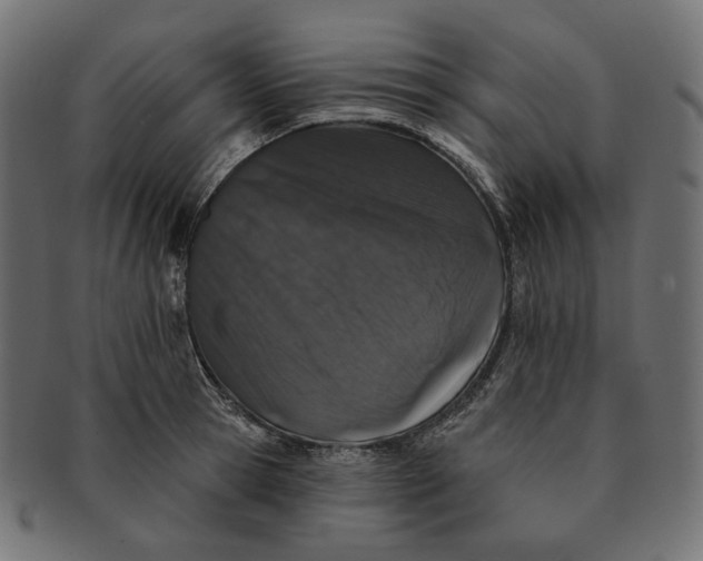 X0000091530945200709071037