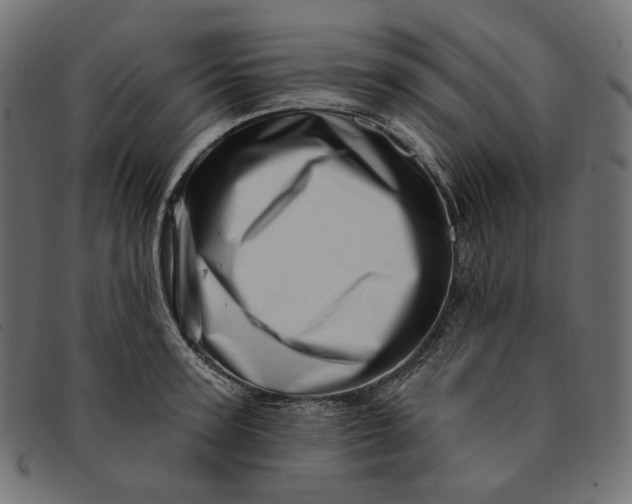 X0000091530947200709071037