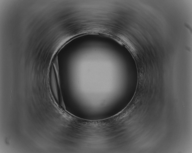 X0000091530948200709071037