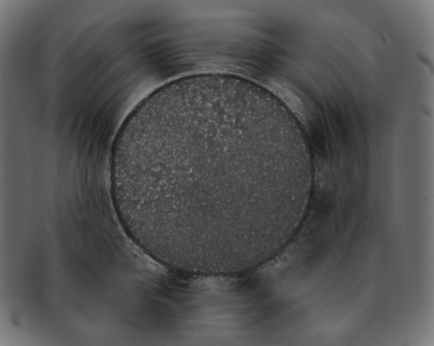 X0000091530950200709071037