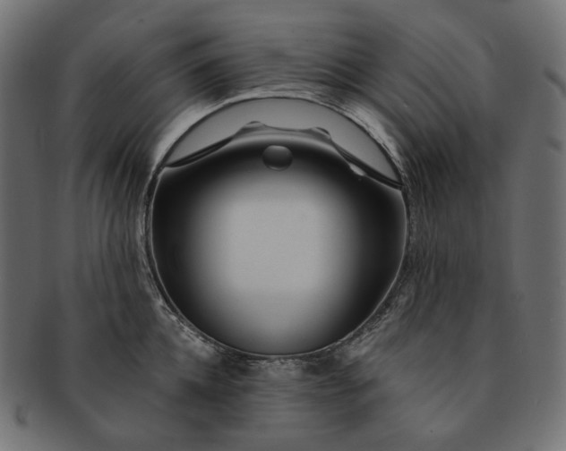 X0000091530952200709071037
