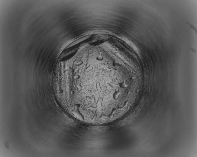 X0000091530953200709071037
