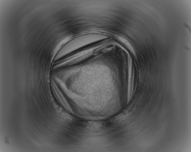 X0000091530954200709071037