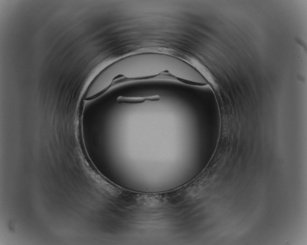 X0000091530955200709071037