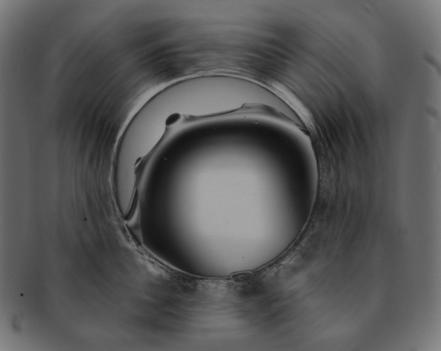 X0000091530956200709071037