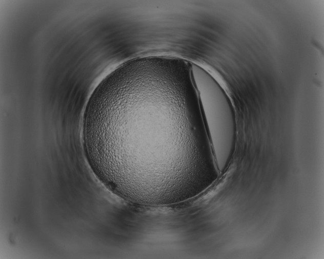 X0000091530957200709071037
