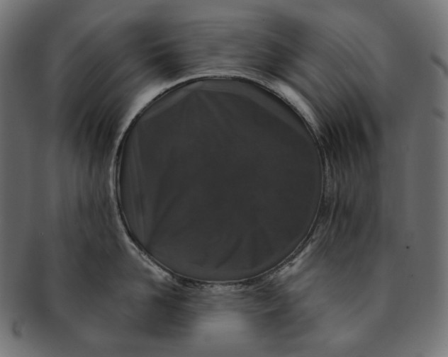 X0000091530958200709071037