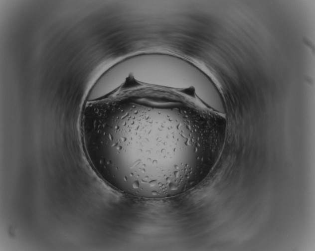 X0000091530959200709071037