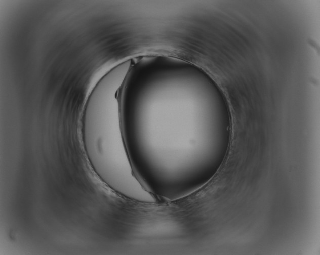 X0000091530960200709071037