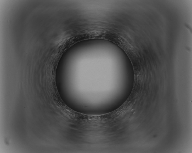 X0000091530961200709071037