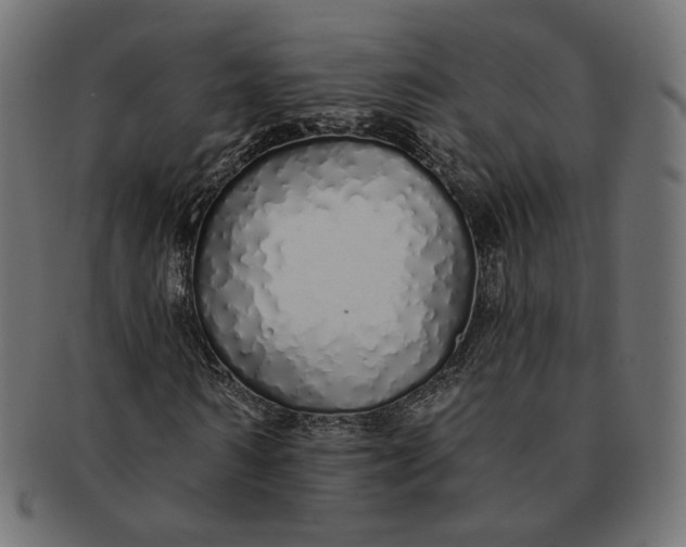 X0000091530962200709071037