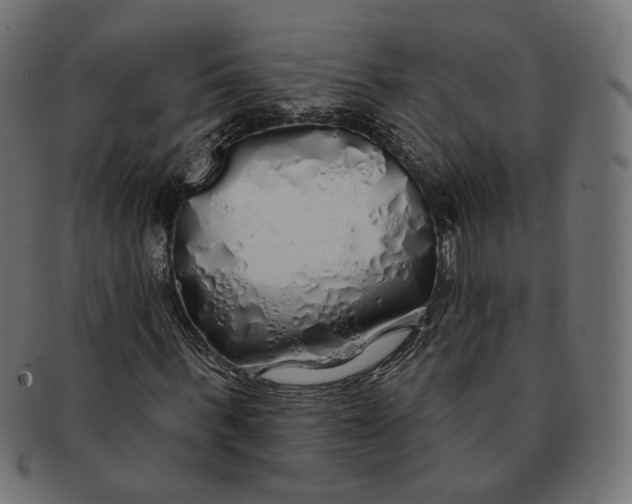 X0000091530963200709071037
