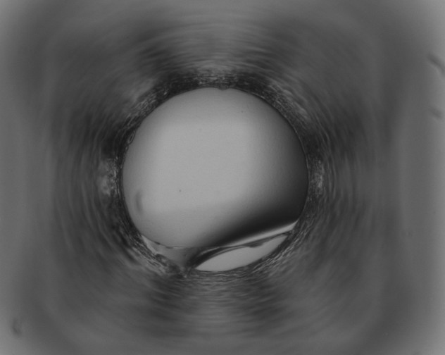 X0000091530964200709071037