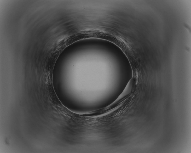 X0000091530965200709071037