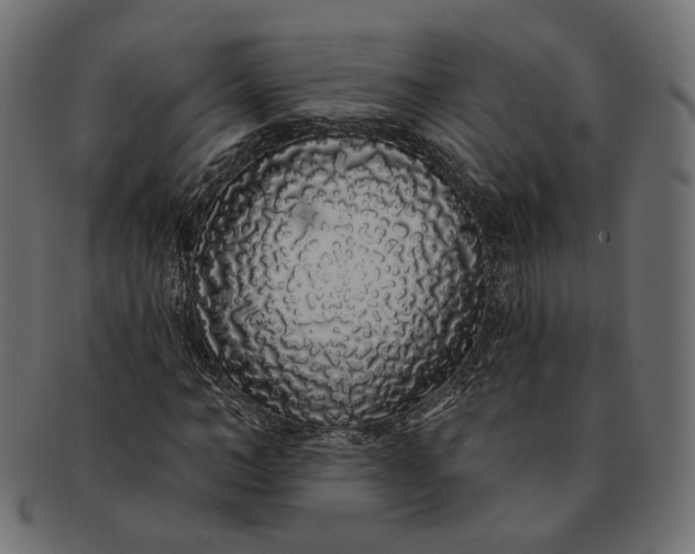 X0000091530966200709071037
