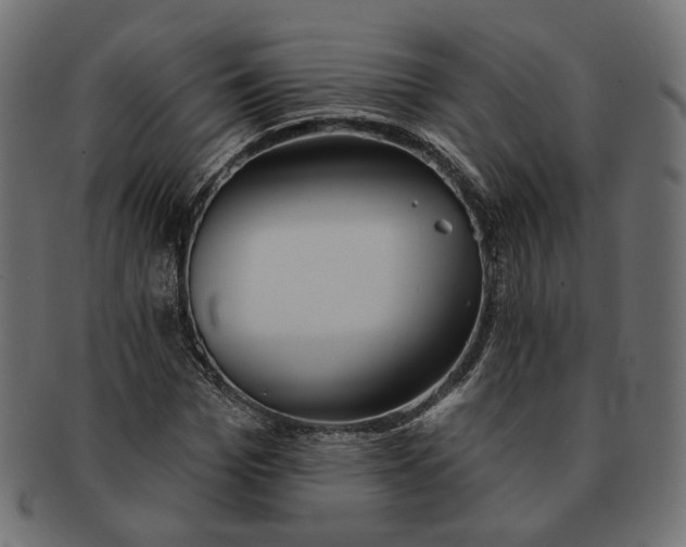 X0000091530969200709071036