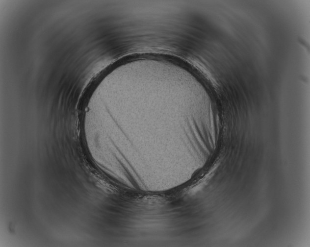 X0000091530974200709071036