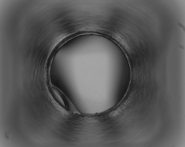 X0000091530976200709071036