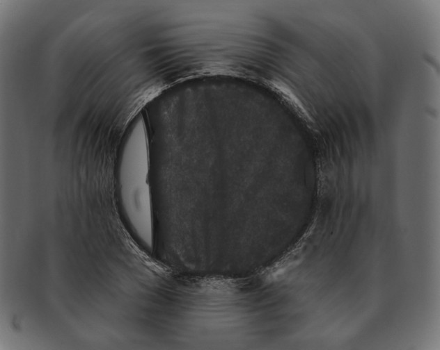 X0000091530977200709071036