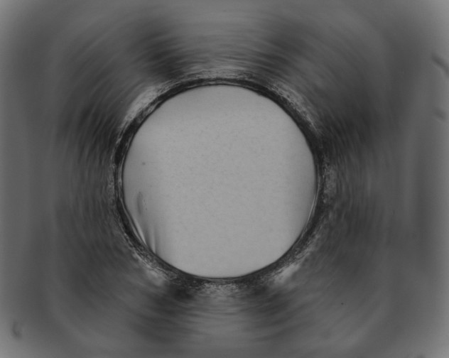 X0000091530978200709071036