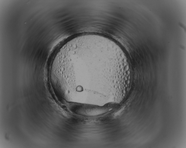 X0000091530979200709071036