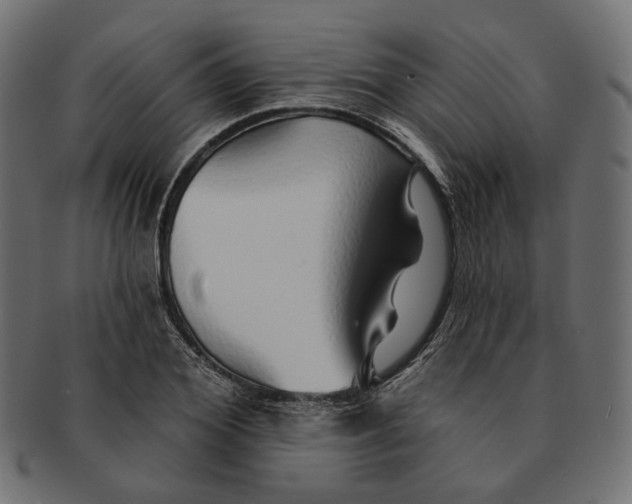 X0000091530980200709071036