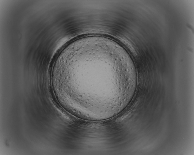 X0000091530982200709071036