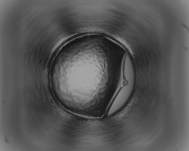 X0000091530983200709071036