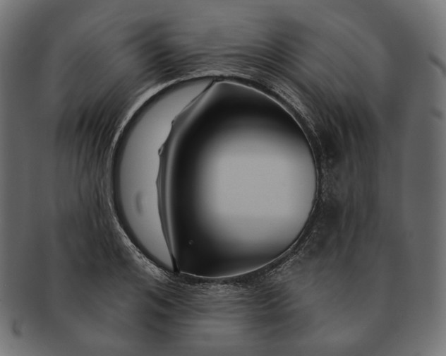 X0000091530984200709071036