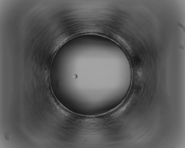X0000091530985200709071036