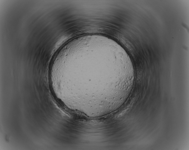X0000091530986200709071036