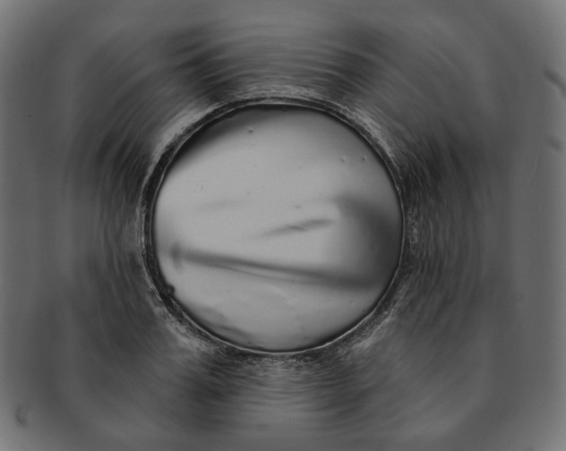X0000091530987200709071036