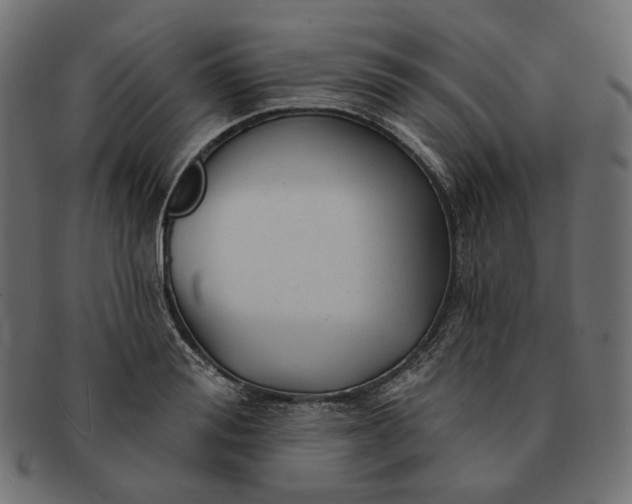 X0000091530988200709071036