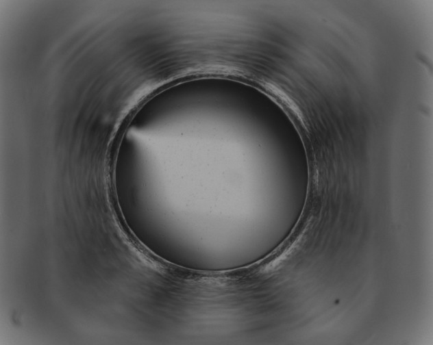 X0000091530989200709071036