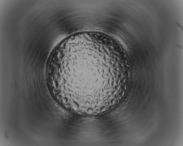 X0000091530990200709071036