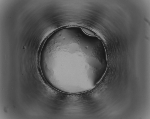 X0000091530991200709071036
