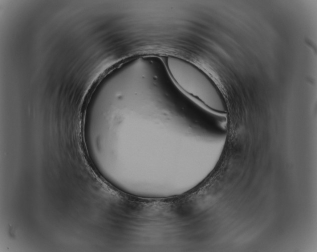X0000091530992200709071036