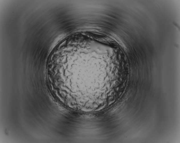 X0000091530994200709071036