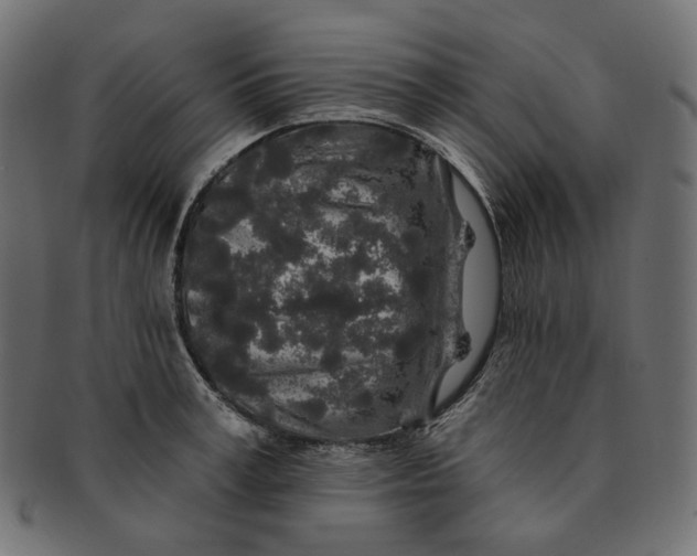 X0000091530995200709071036