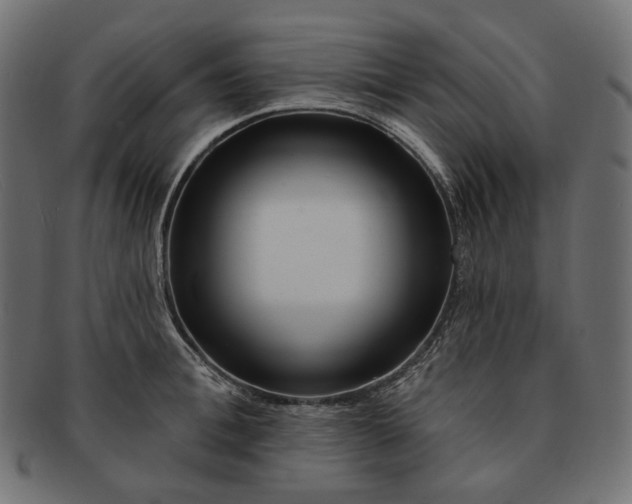 X0000091530996200709071036