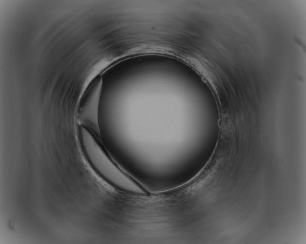 X0000091530997200709071036