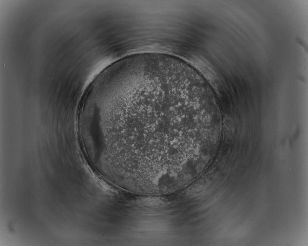 X0000091530998200709071036