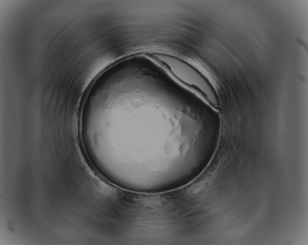 X0000091530999200709071036