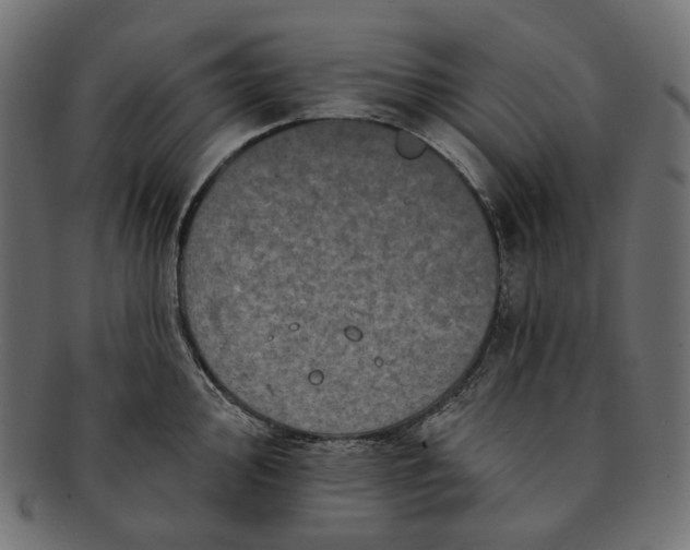 X0000091531000200709071036