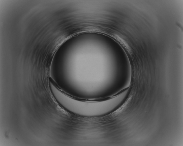 X0000091531001200709071036