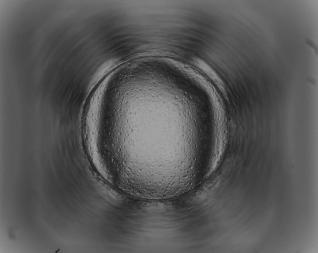 X0000091531002200709071036