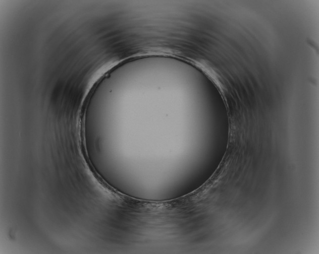 X0000091531003200709071036