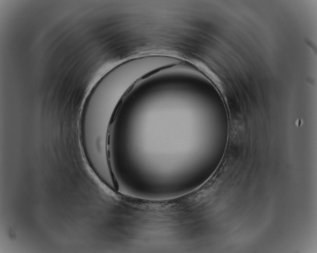 X0000091531005200709071036