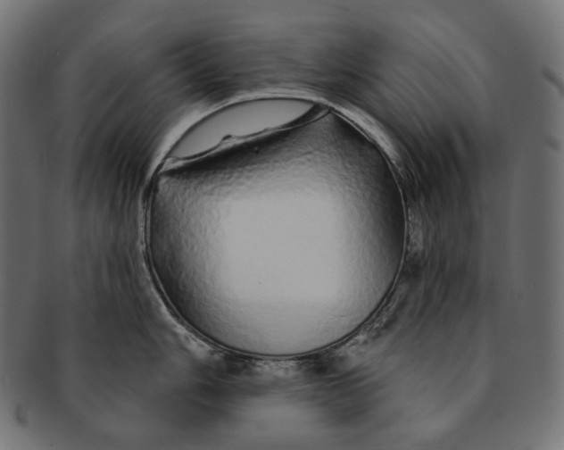 X0000091531006200709071036