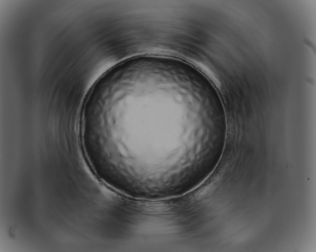 X0000091531007200709071036